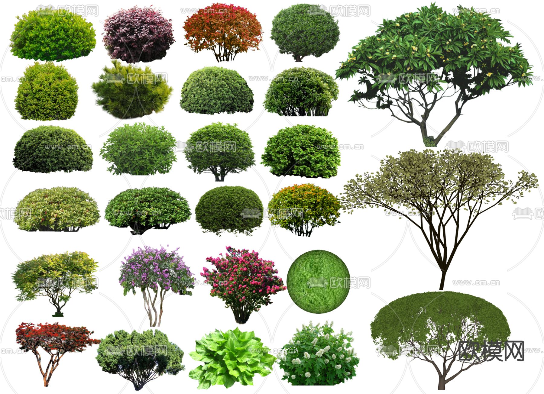 现代灌木球su模型下载