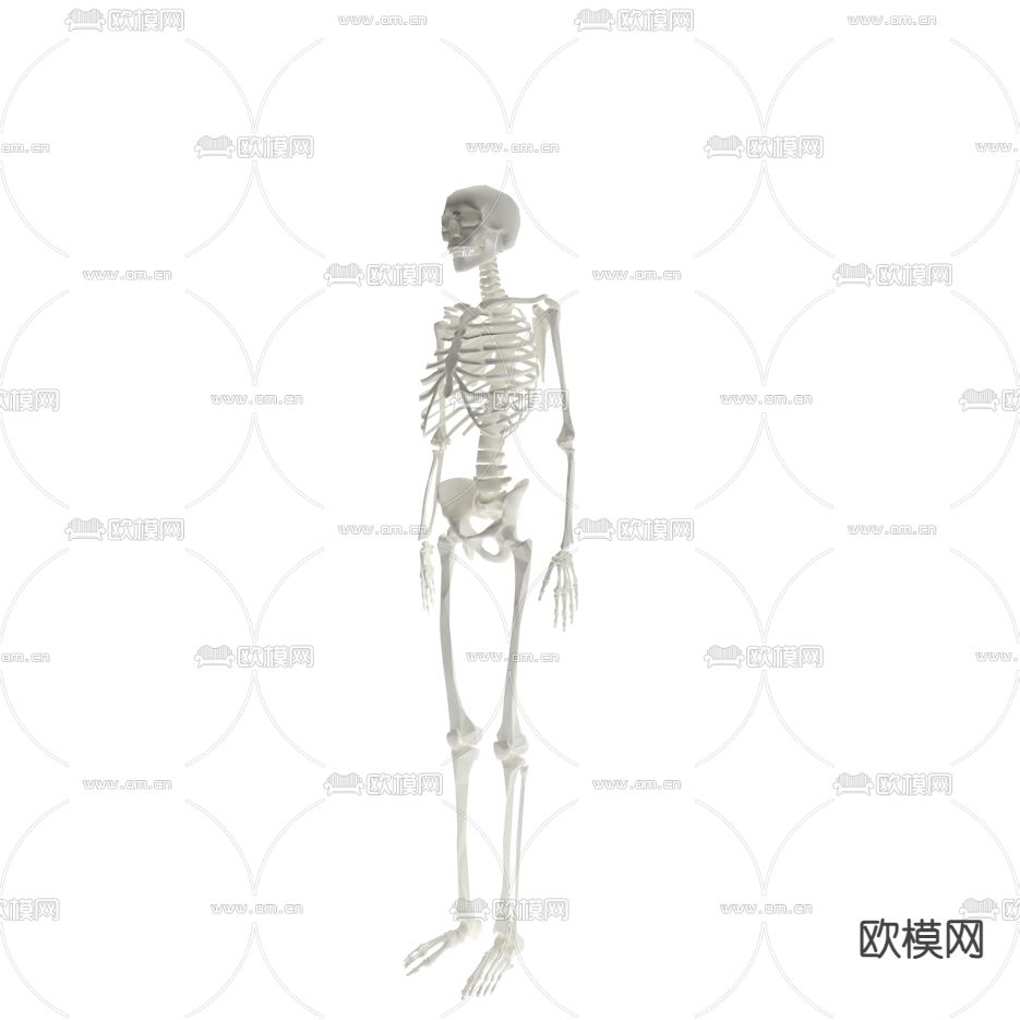 现代医疗设备骷髅免费3d模型下载