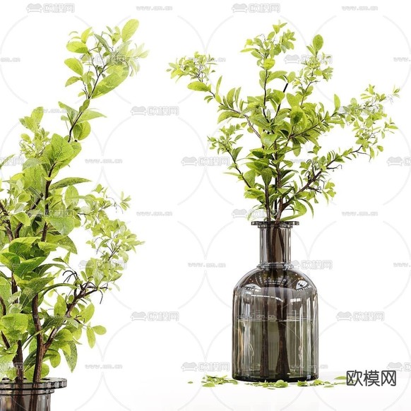 现代玻璃花瓶花艺3d模型下载(渲染图3)