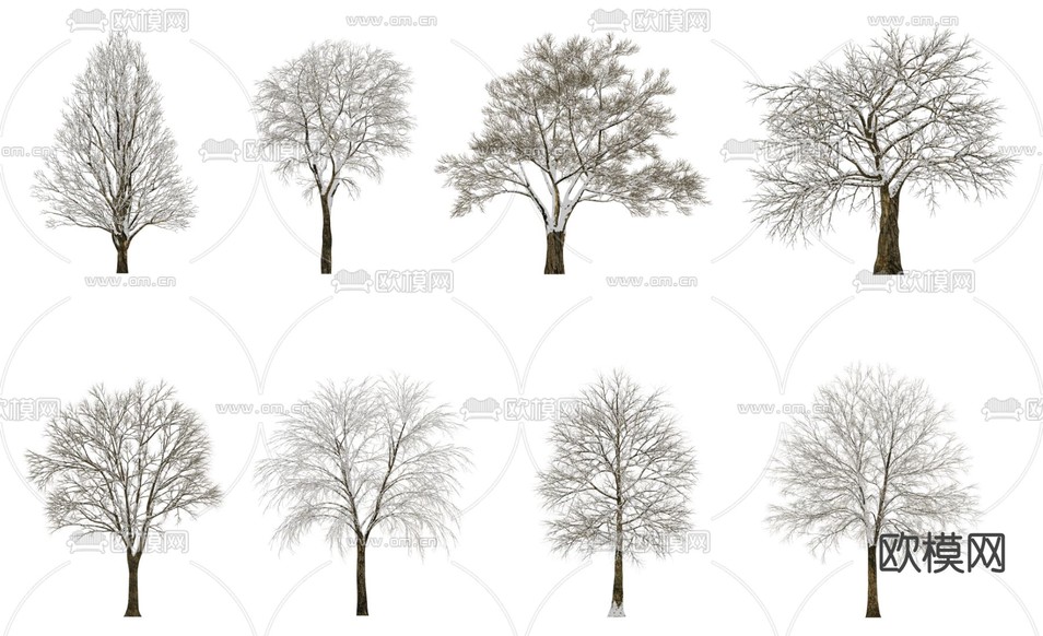 现代景观树雪树3d模型下载