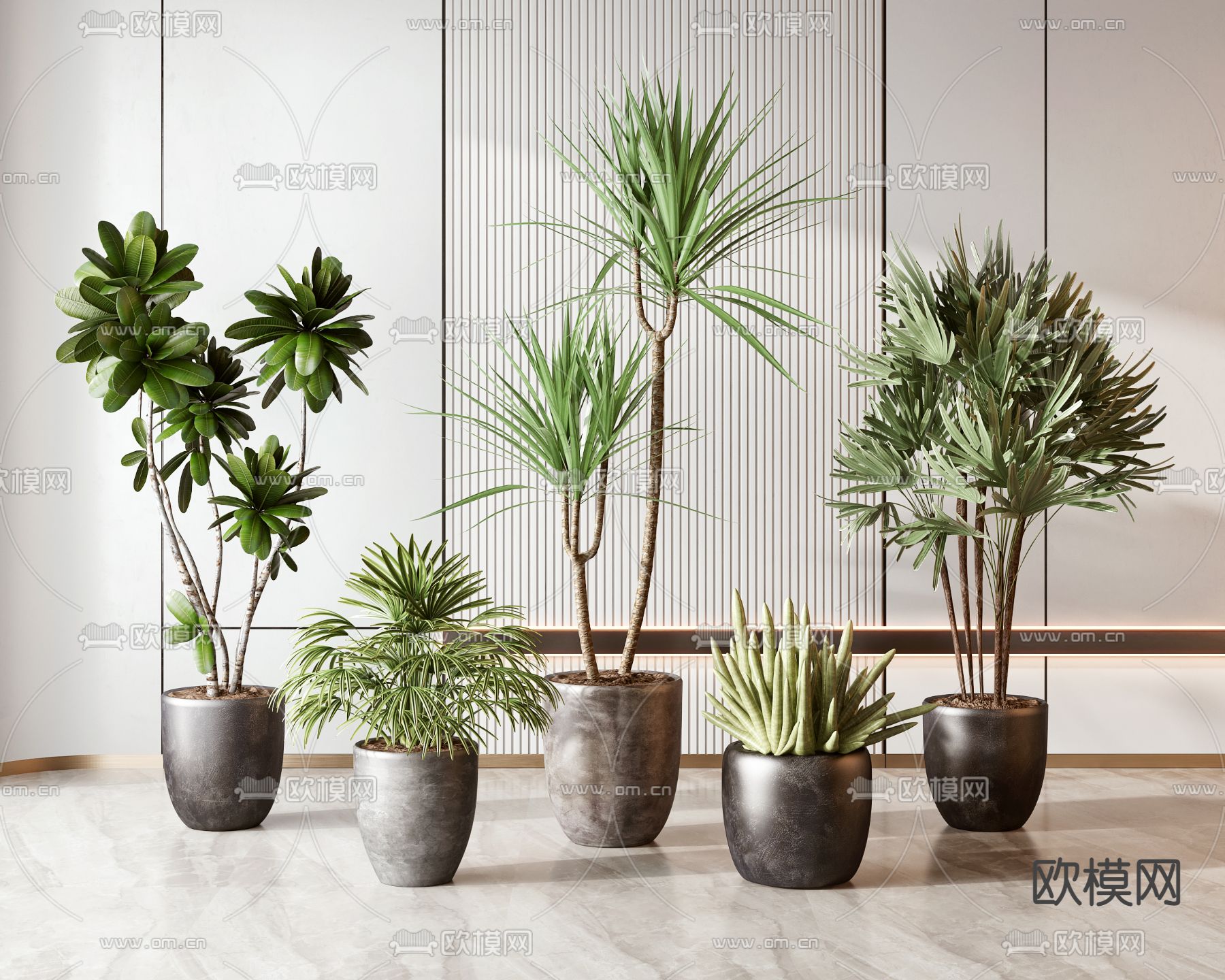 现代绿植盆栽3d模型