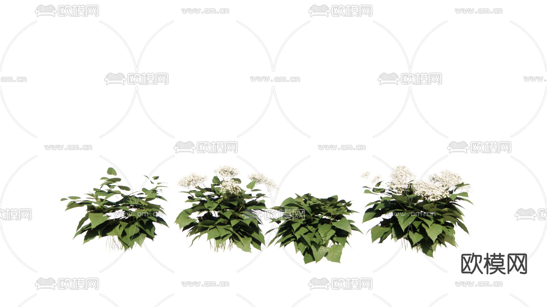 现代植物su模型下载