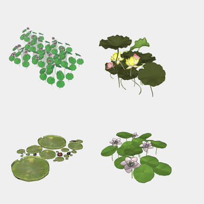  现代莲花睡莲su模型 