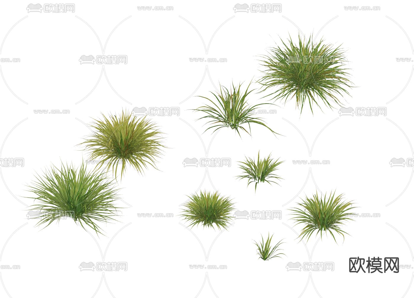 现代植物su模型下载（渲染图2）