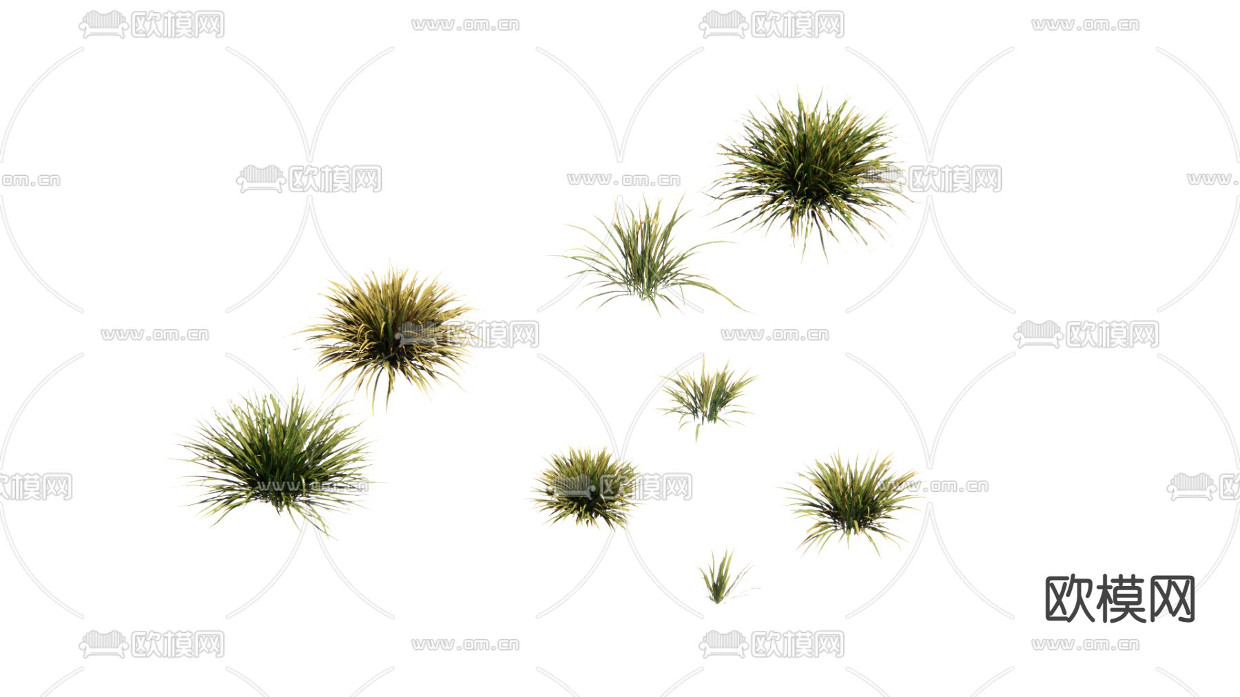 现代植物su模型下载（渲染图1）