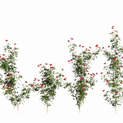  现代植物su模型 