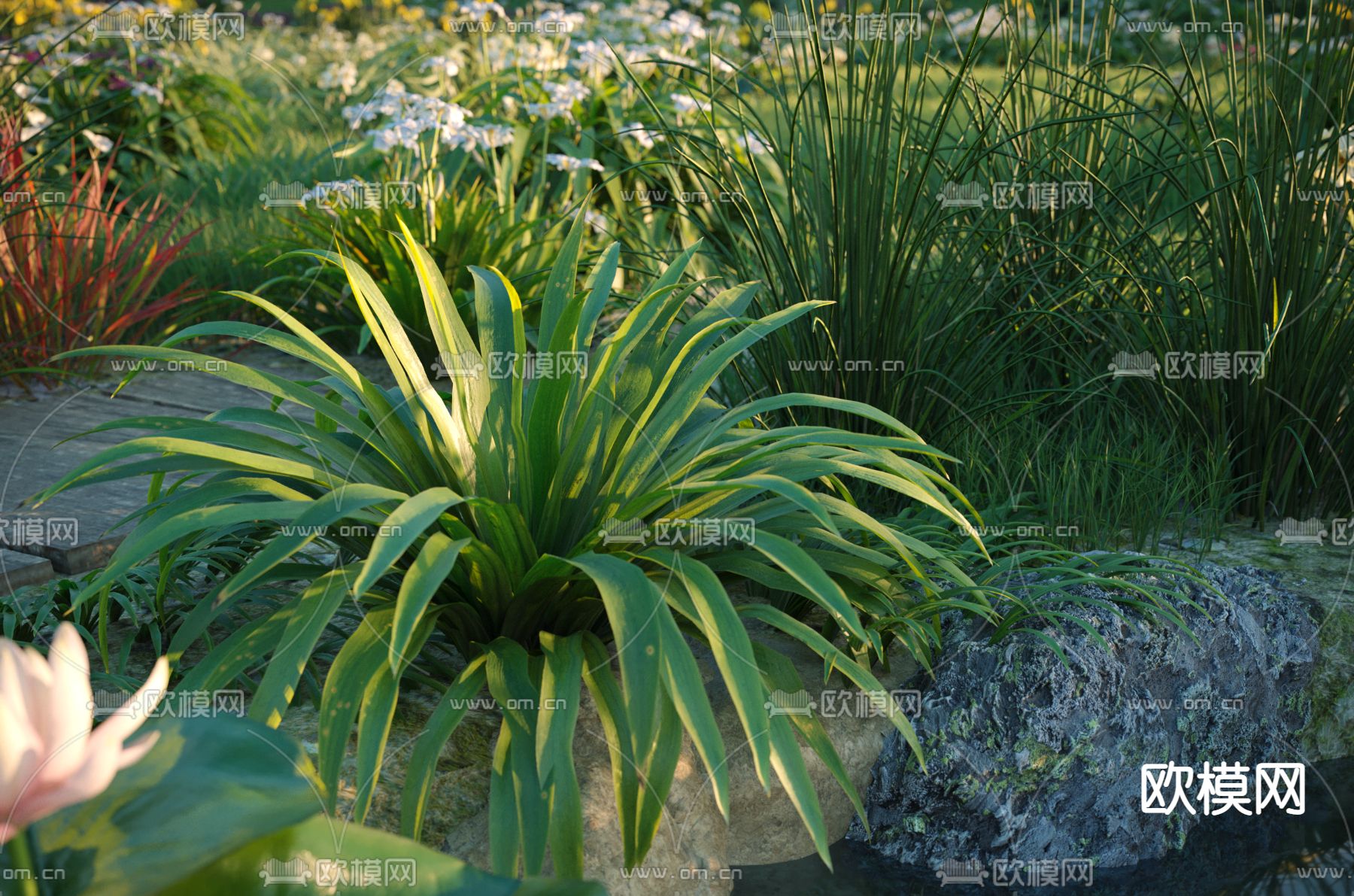 现代荷花池3d模型下载（渲染图3）