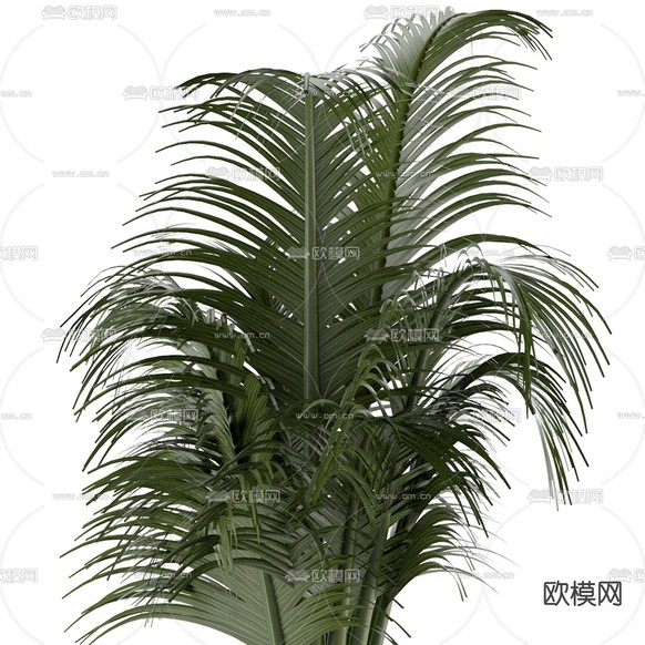 现代绿植盆栽3d模型下载(渲染图4)