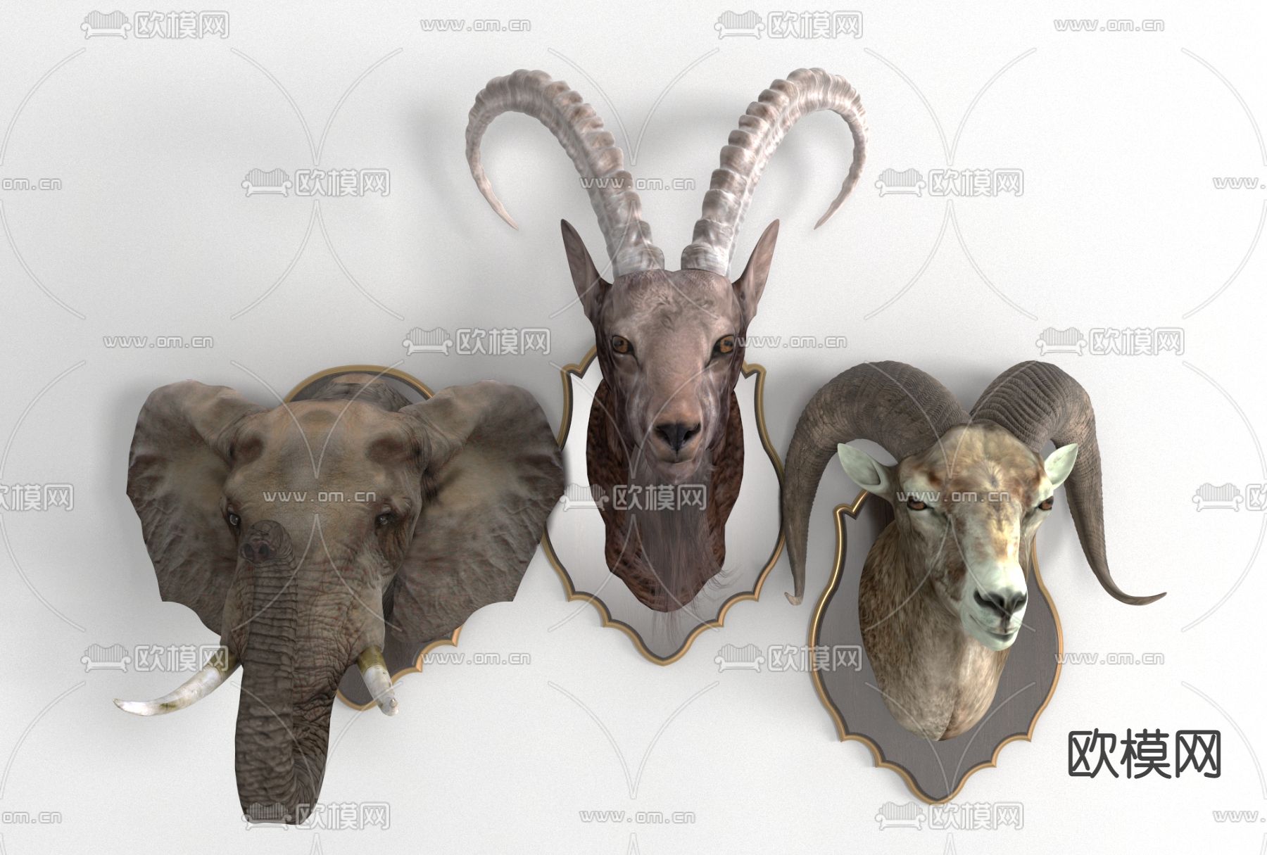 现代动物标本挂件墙饰免费3d模型下载
