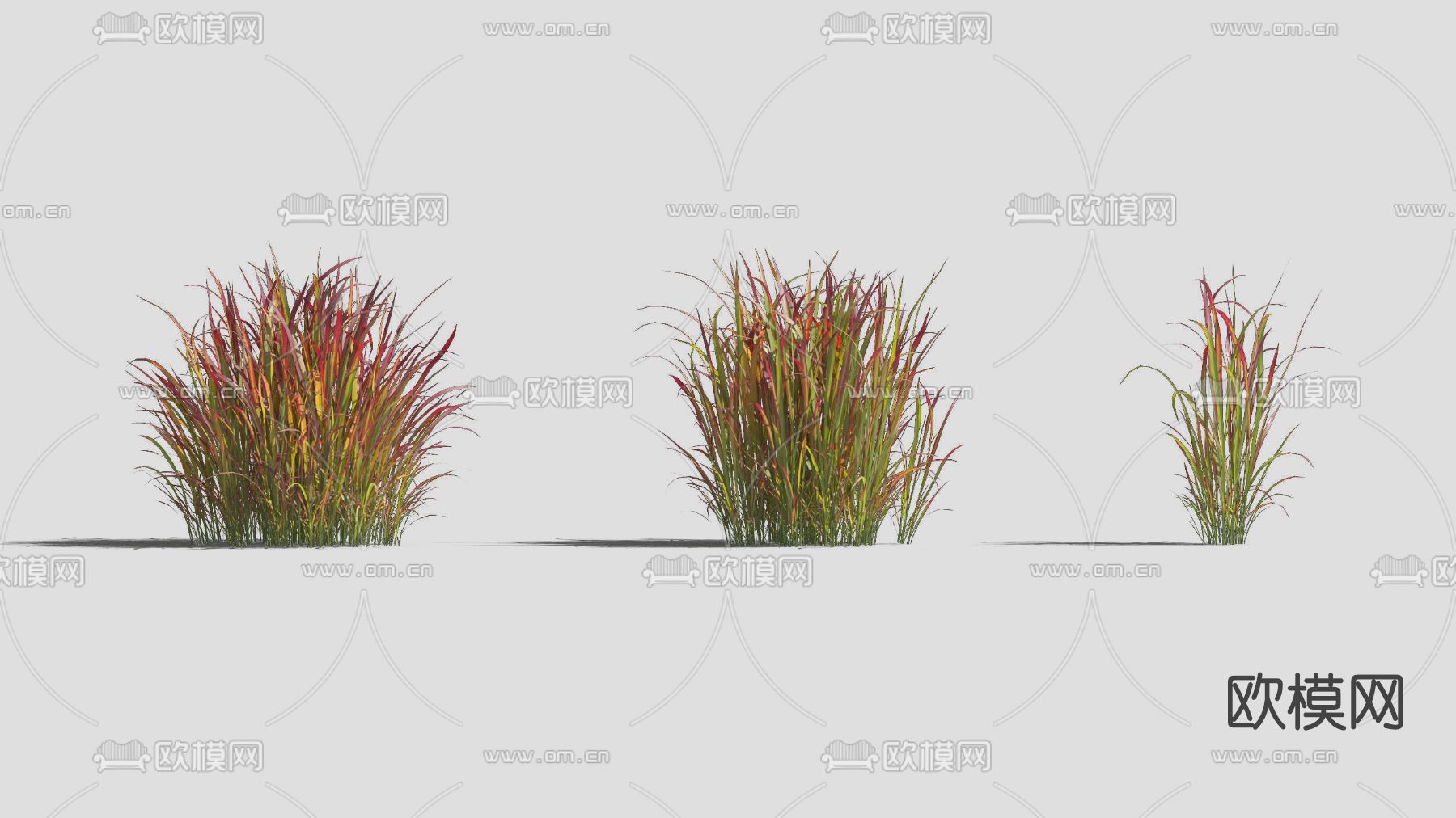 现代植物草丛su模型