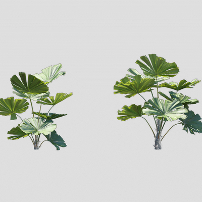  现代绿植花草su模型 