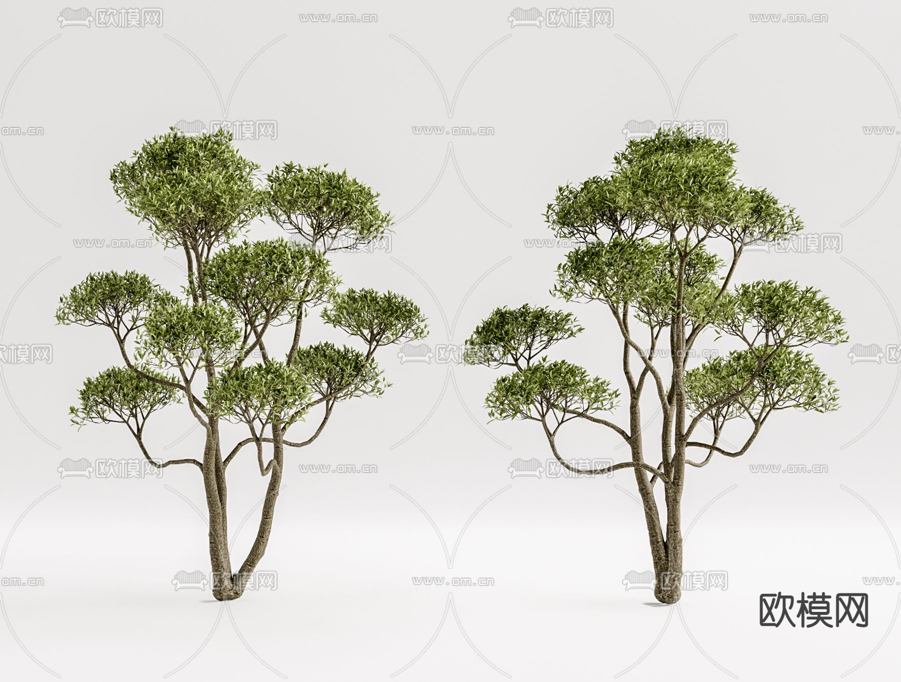 现代植物景观树su模型