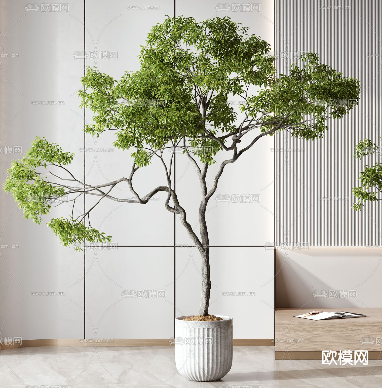 现代绿植盆栽3d模型下载（渲染图2）