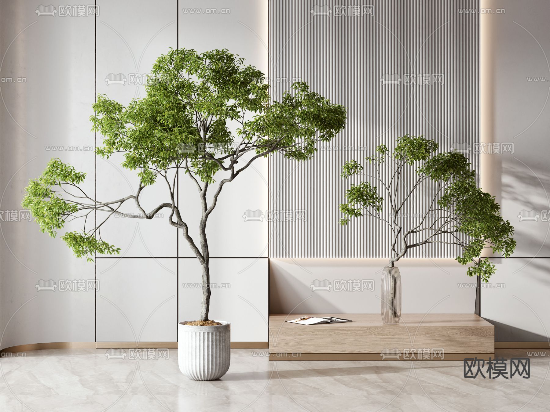 现代绿植盆栽3d模型下载（渲染图1）