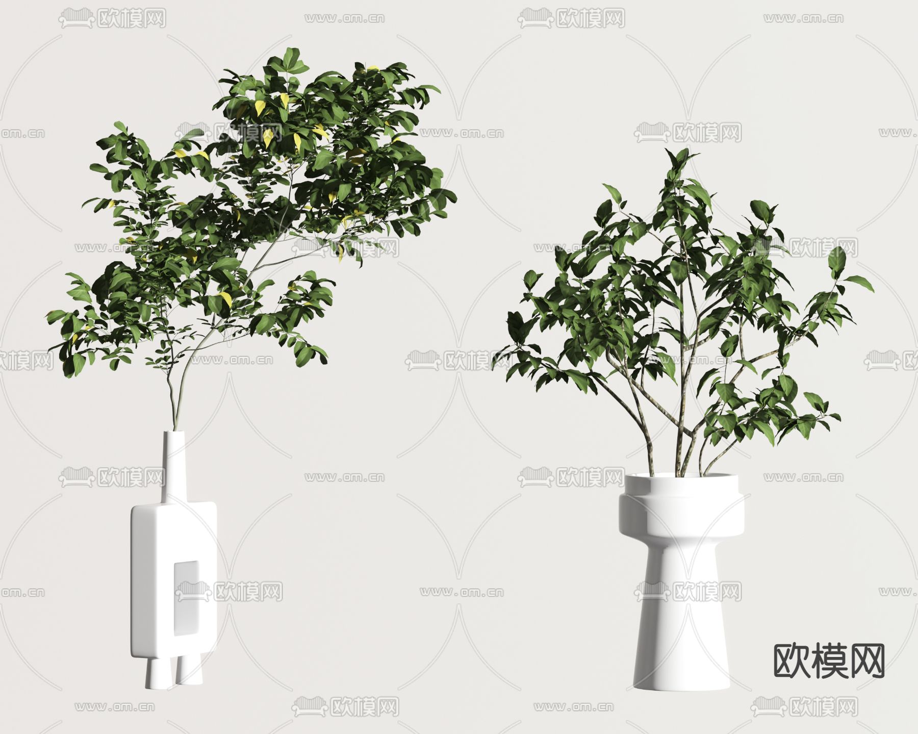 现代水培绿植花瓶3d模型