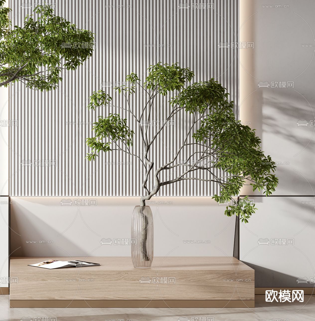 现代绿植盆栽3d模型下载（渲染图3）