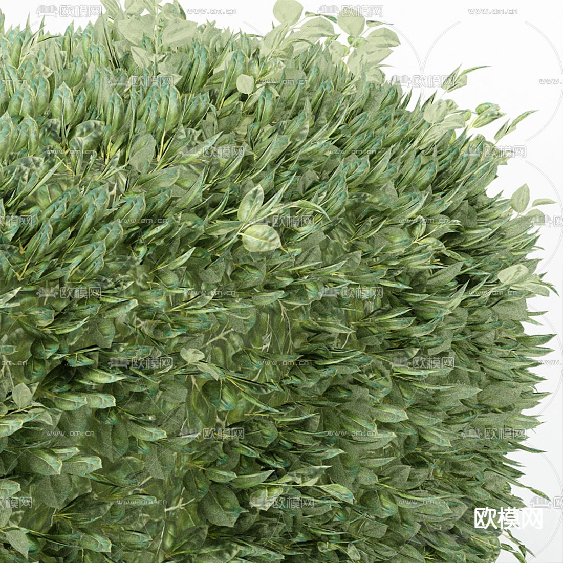 现代圆形灌木园艺小品3d模型下载（渲染图2）