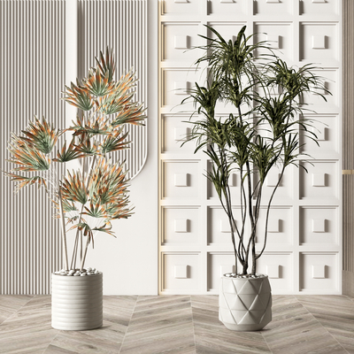 现代绿植盆栽su模型