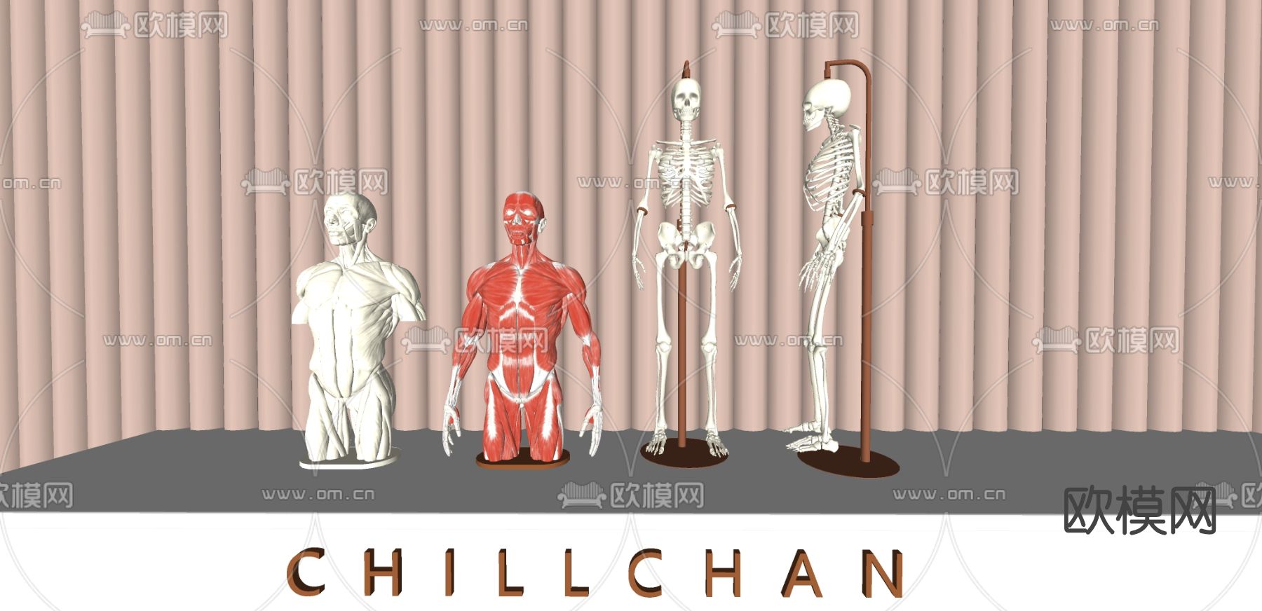 现代医用人体模特su模型下载（渲染图2）