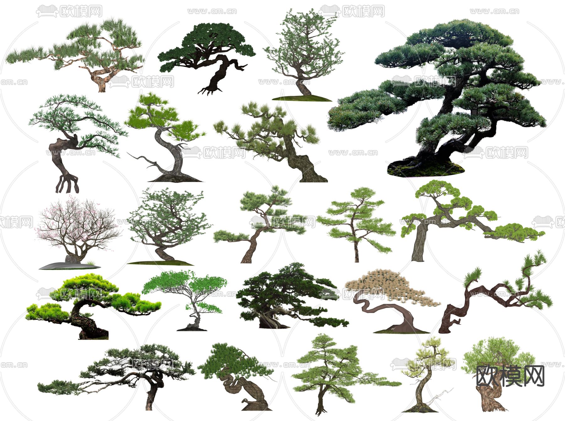 中式造型松su模型下载