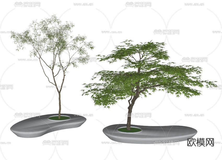 现代树池景观树su模型下载（渲染图2）