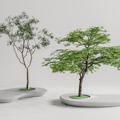  现代树池景观树su模型 