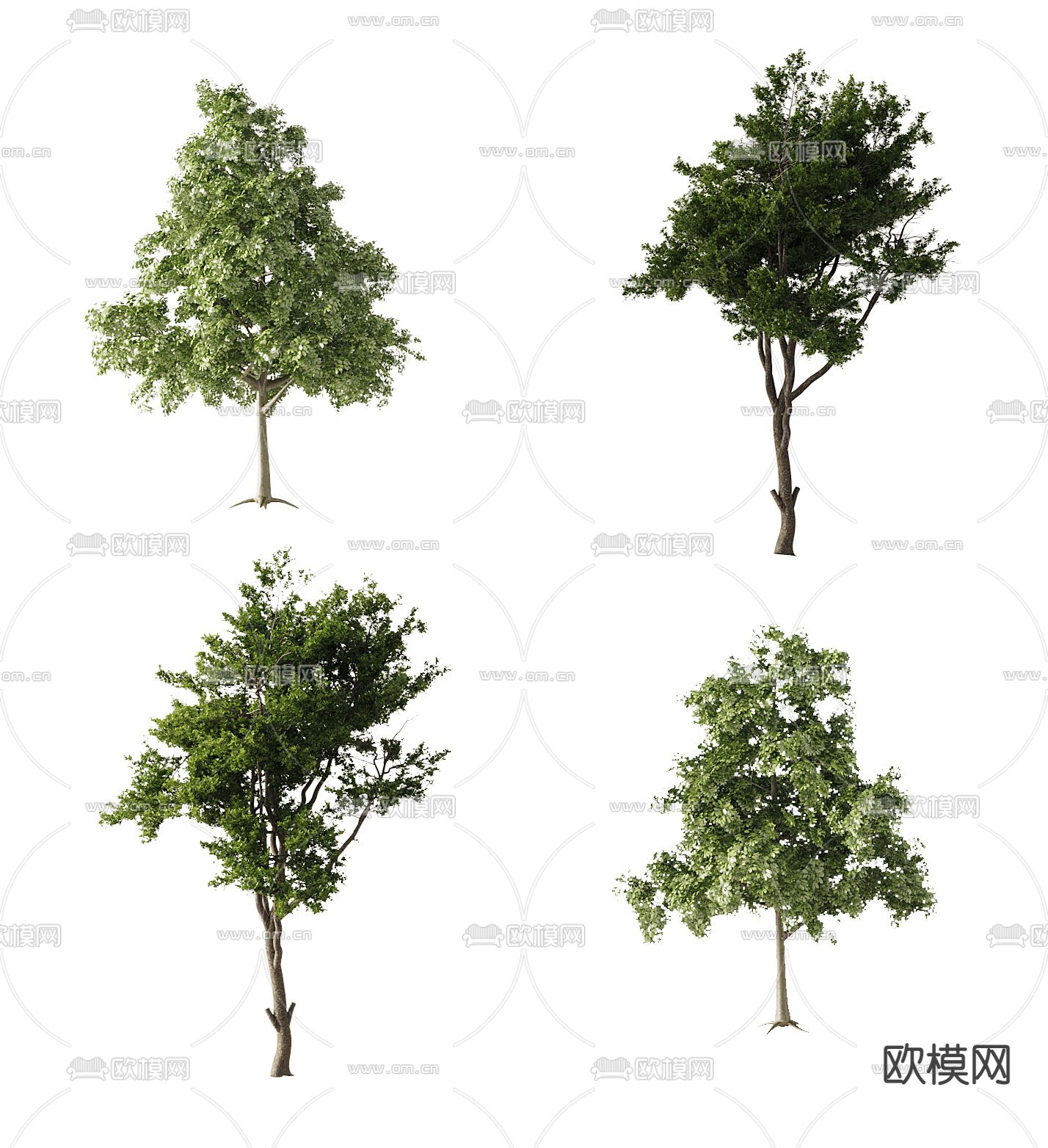 现代景观树行道树3d模型下载