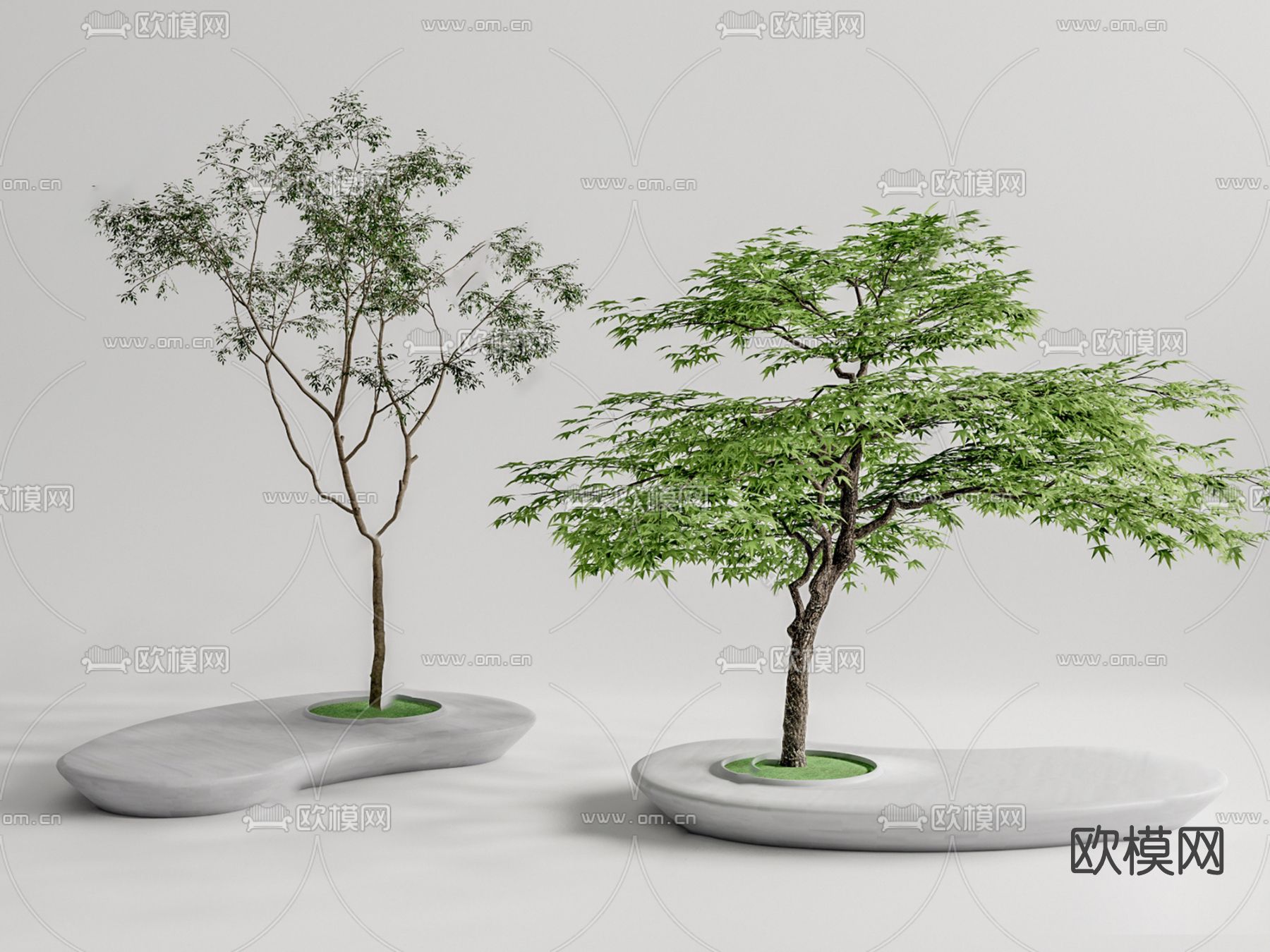 现代树池景观树su模型下载（渲染图1）
