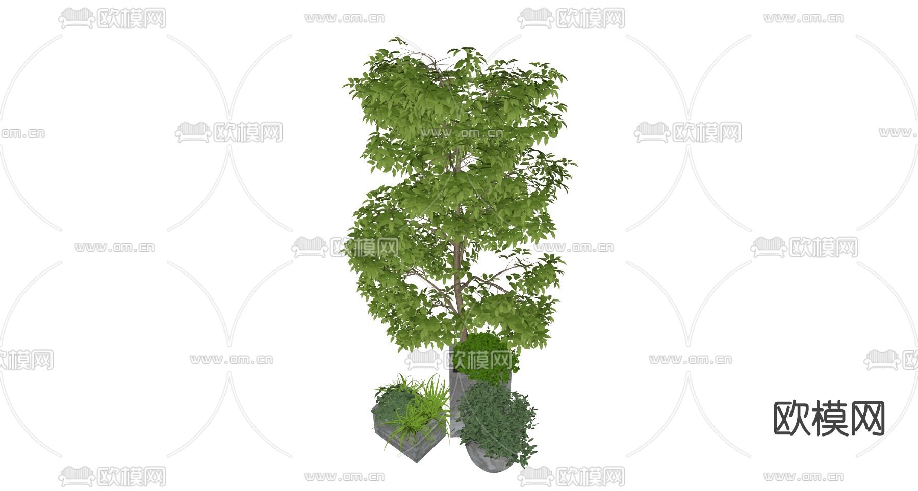 现代植物盆栽su模型下载（渲染图2）