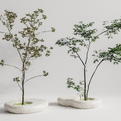  现代树池景观树su模型 