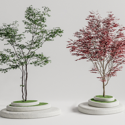  现代树池景观树su模型 
