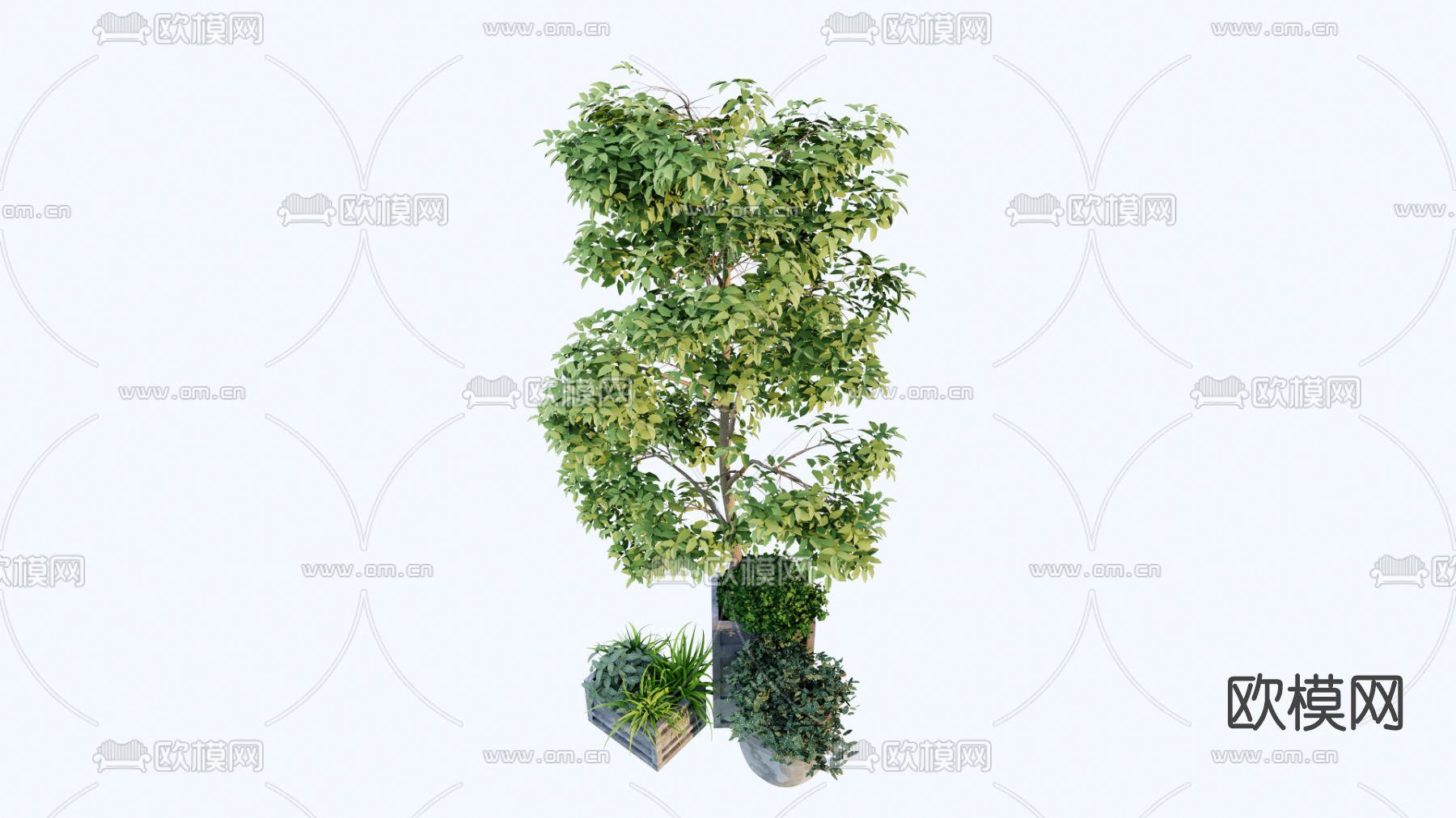现代植物盆栽su模型下载（渲染图1）