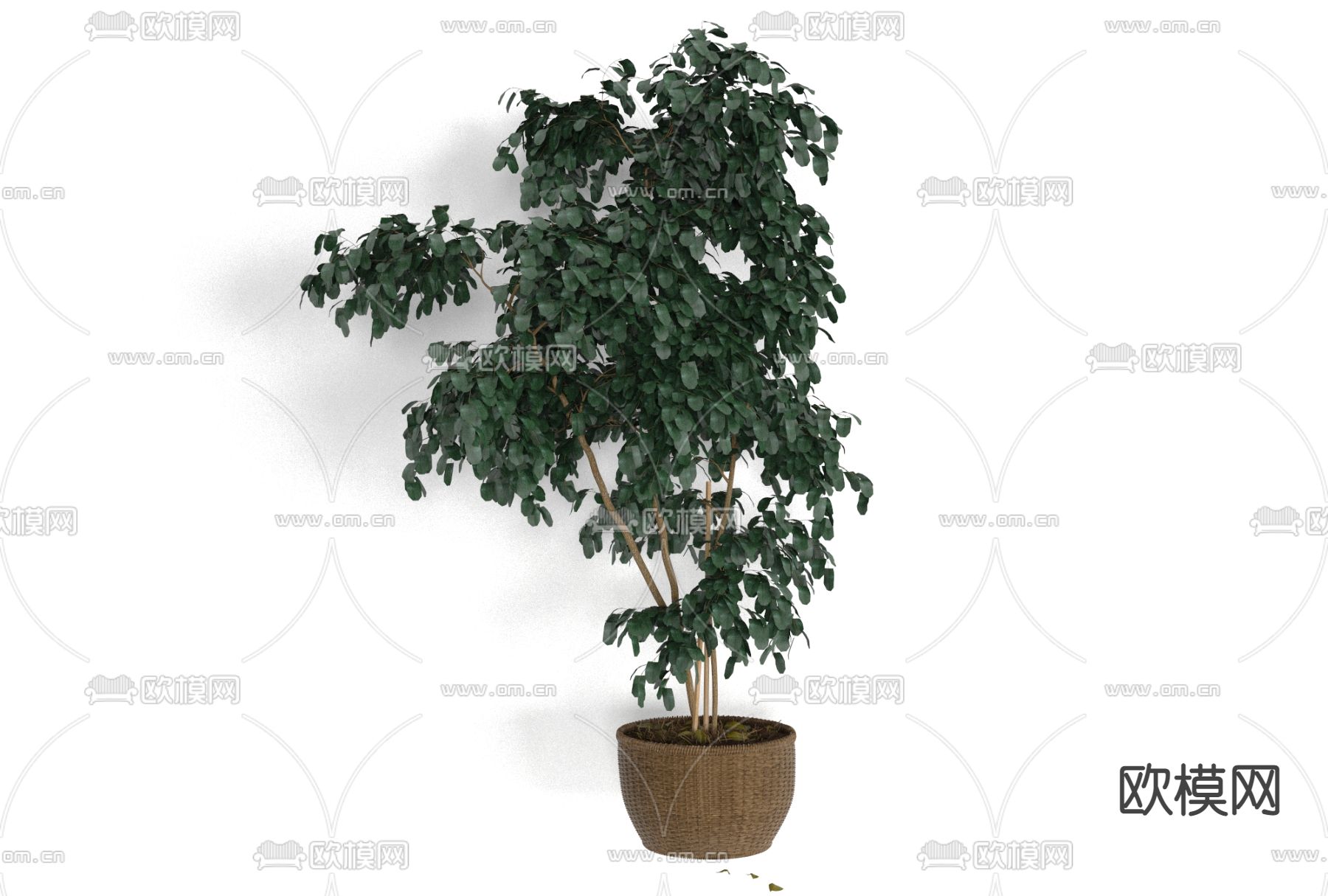 现代绿植盆栽免费3d模型下载