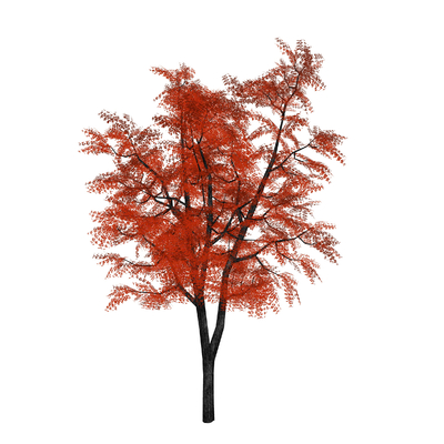  现代树木su模型 