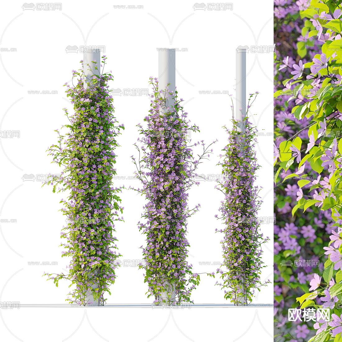现代柱子植物藤蔓3d模型下载