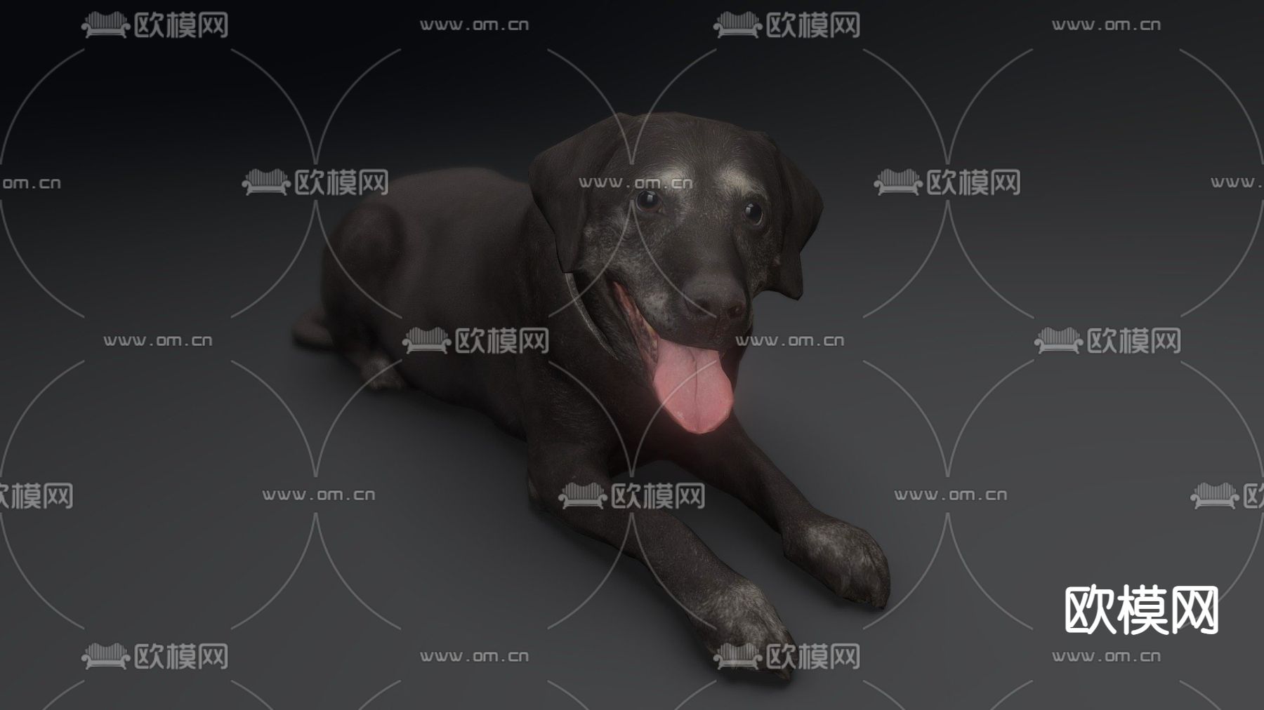 现代黑色狗免费3d模型下载