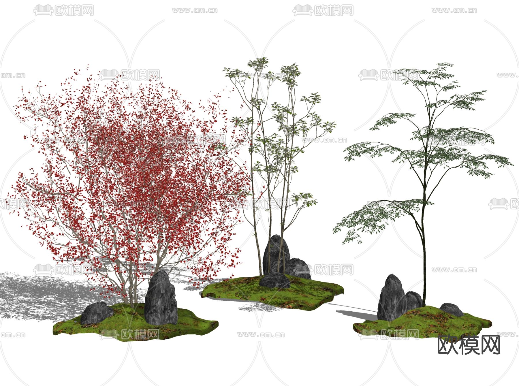 现代景观树su模型下载（渲染图2）
