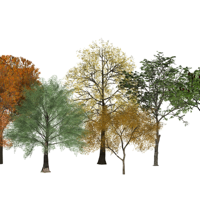  现代树木su模型 