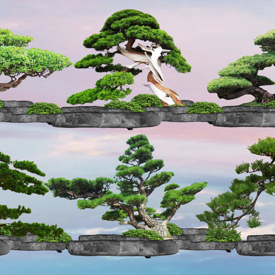 新中式罗汉松su模型