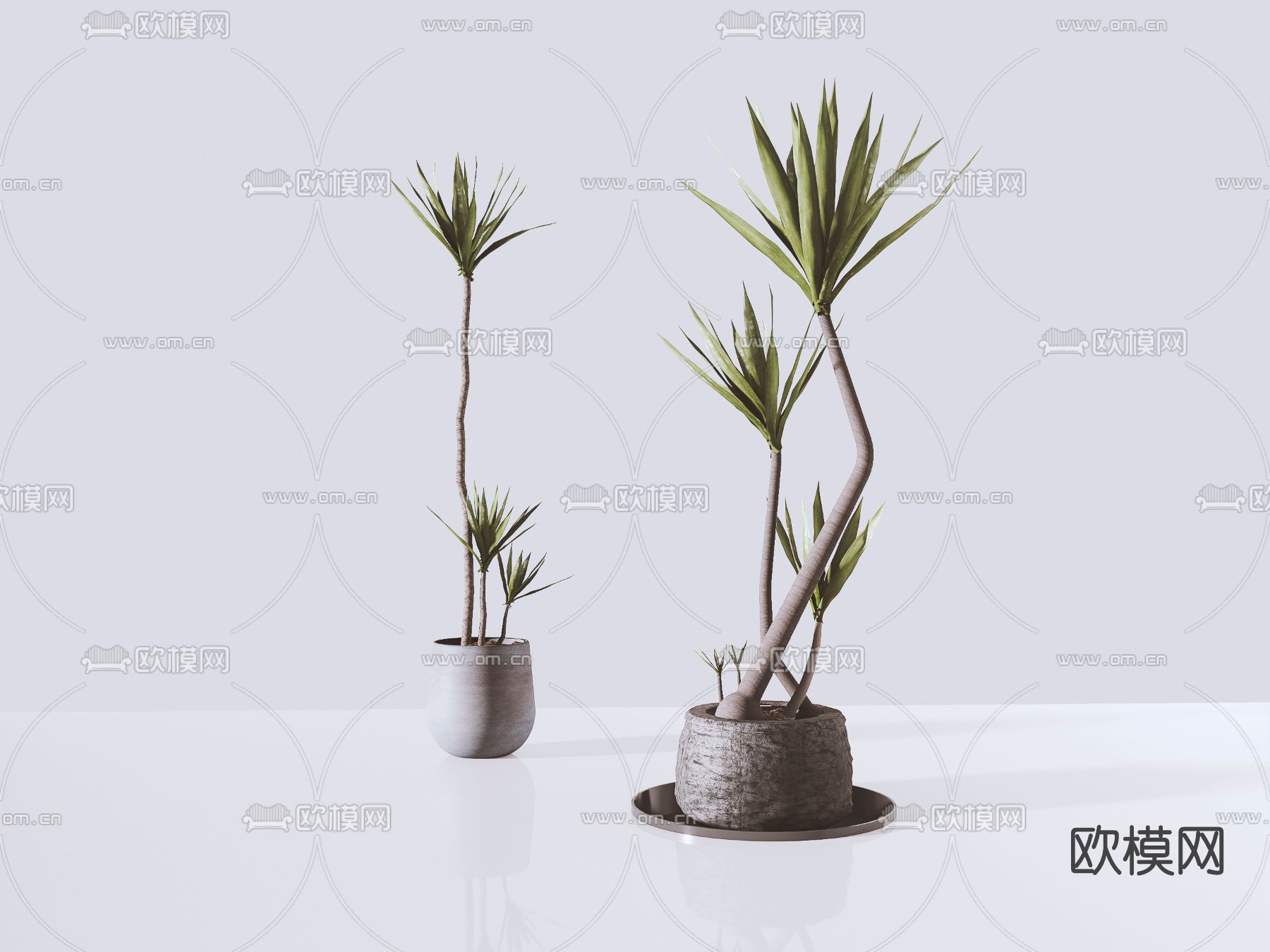 现代绿植盆栽su模型
