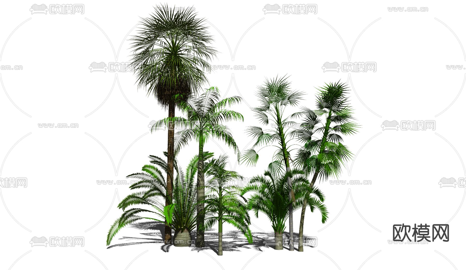 东南亚树木su模型下载