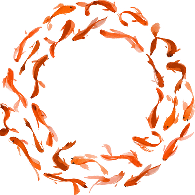  水彩图案锦鲤纹理 