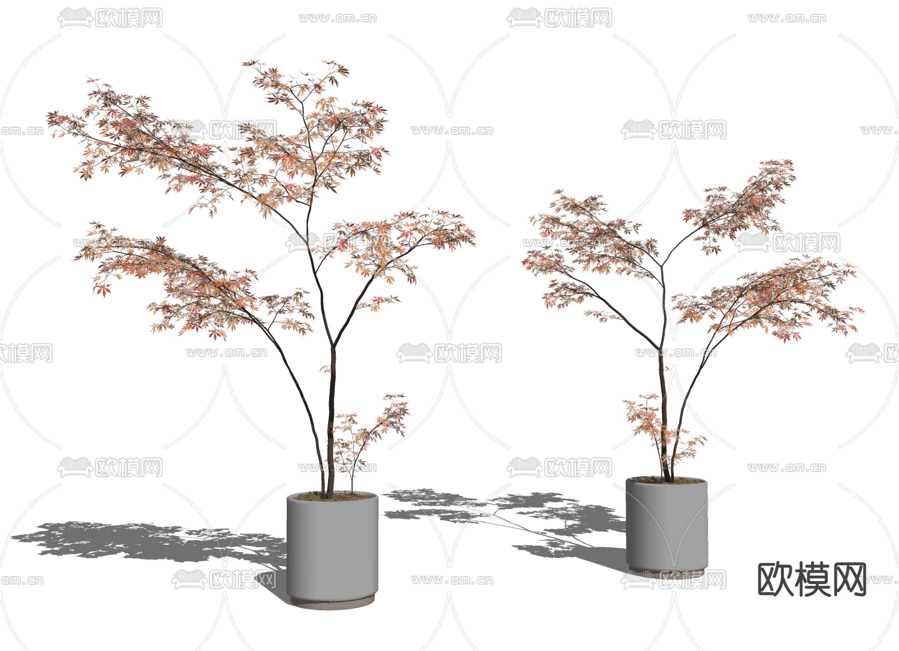 现代植物盆栽su模型下载（渲染图2）