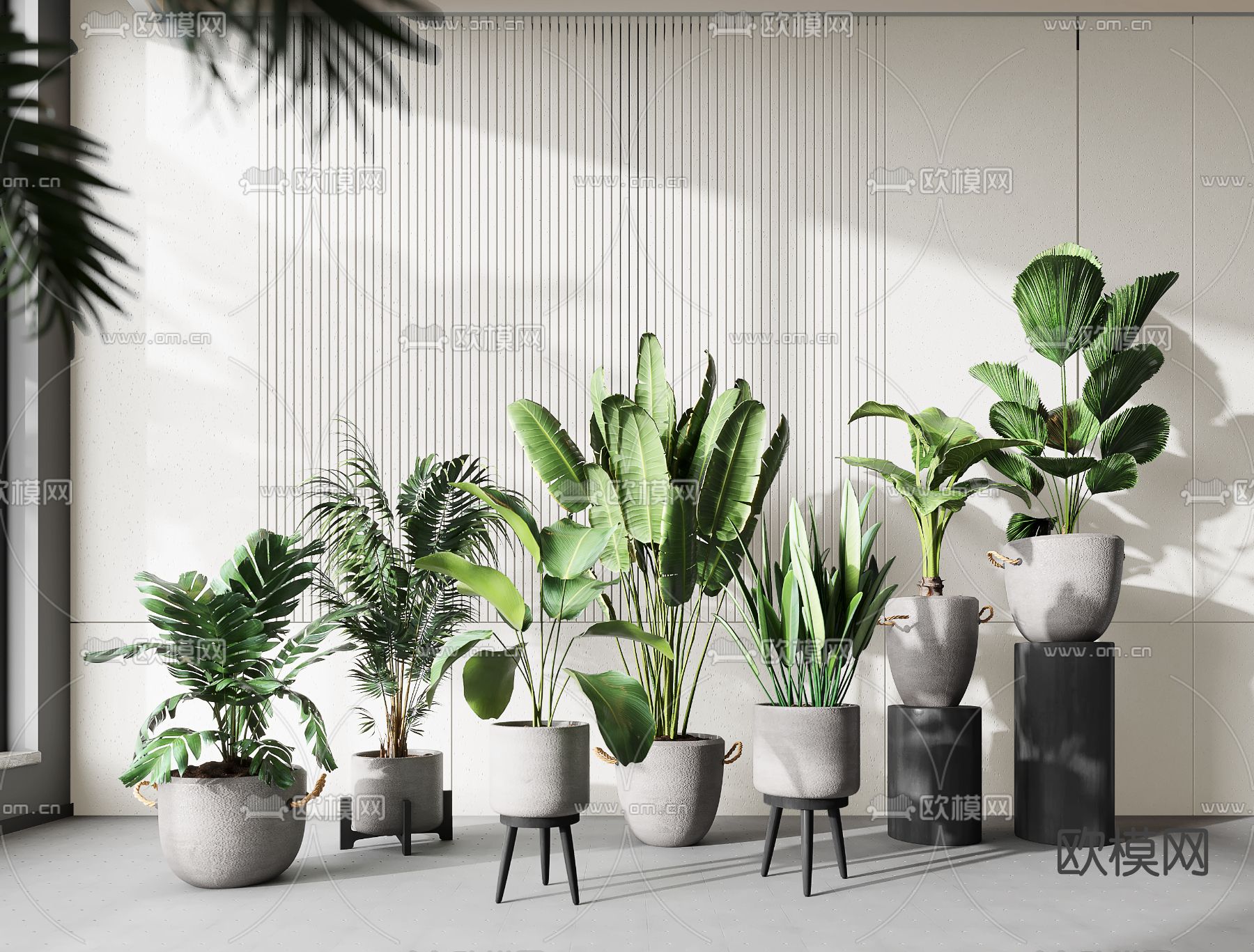 现代植物盆栽su模型