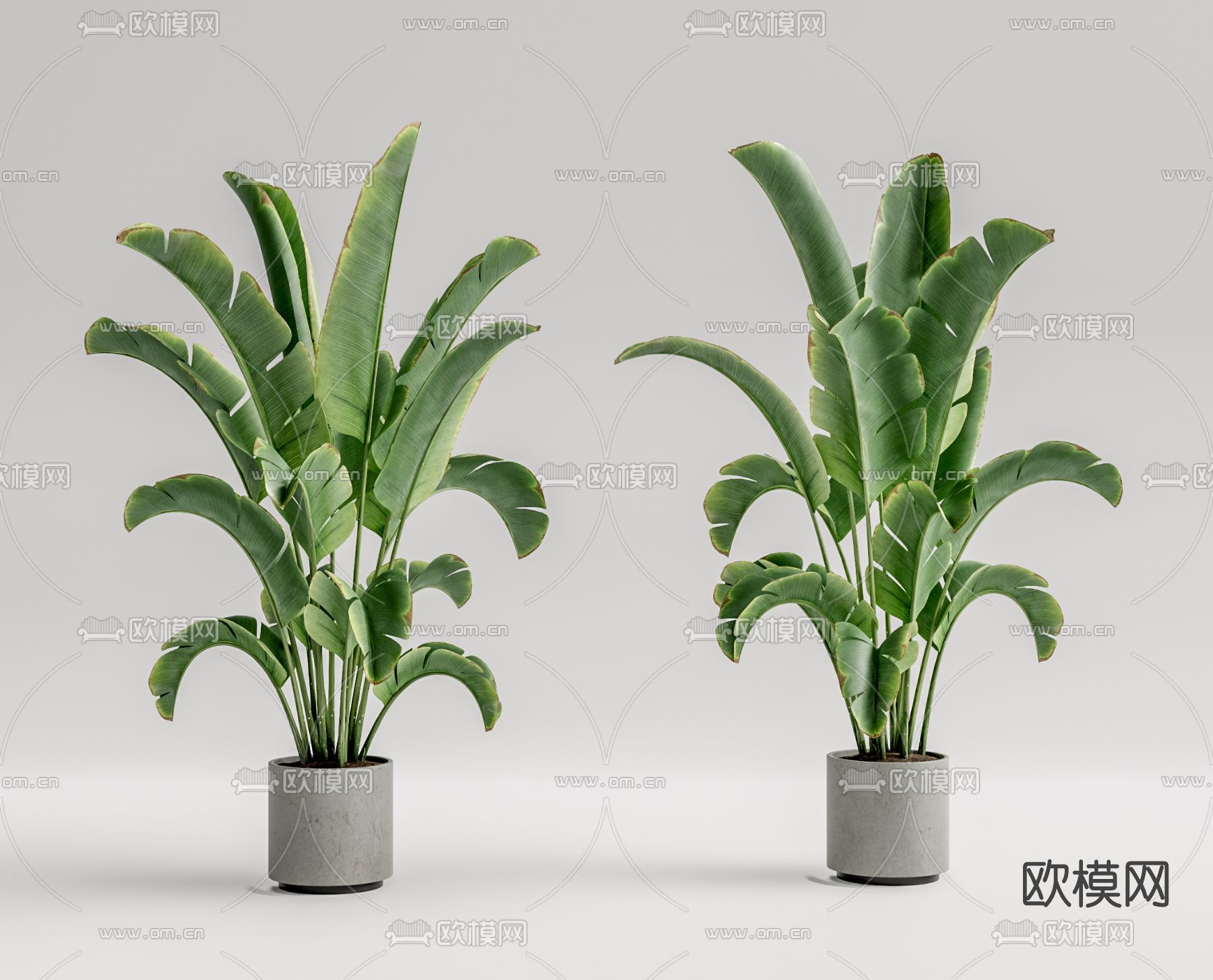 现代植物盆栽su模型
