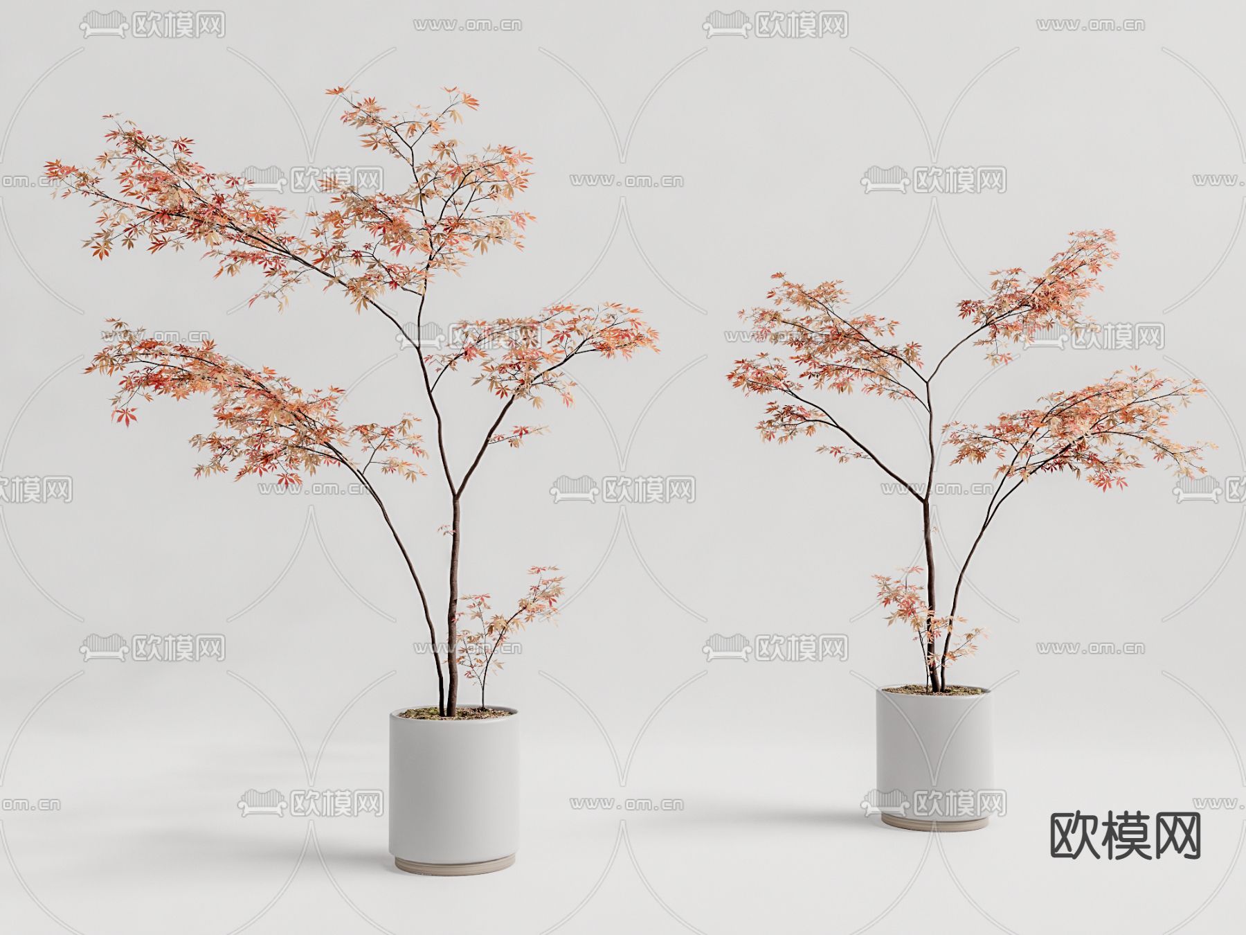 现代植物盆栽su模型下载（渲染图1）