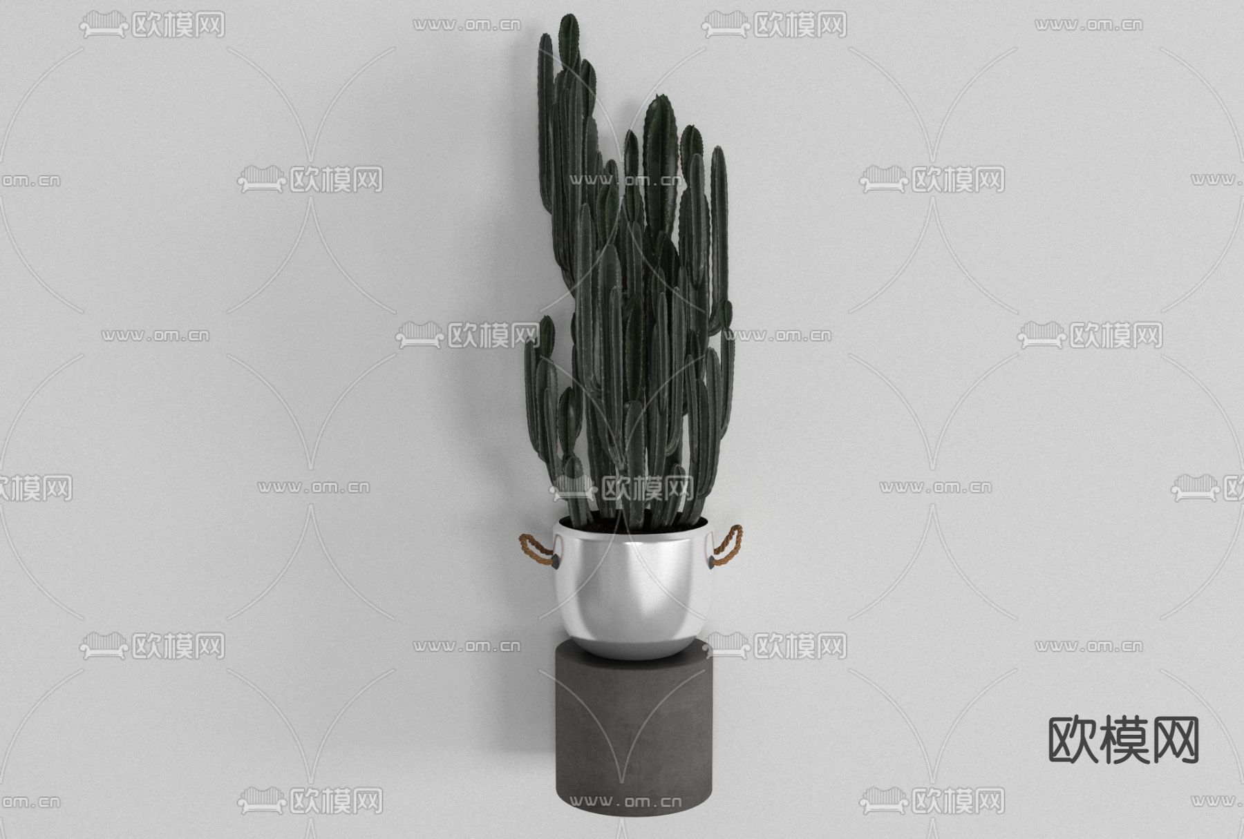 现代仙人掌盆栽免费3d模型下载