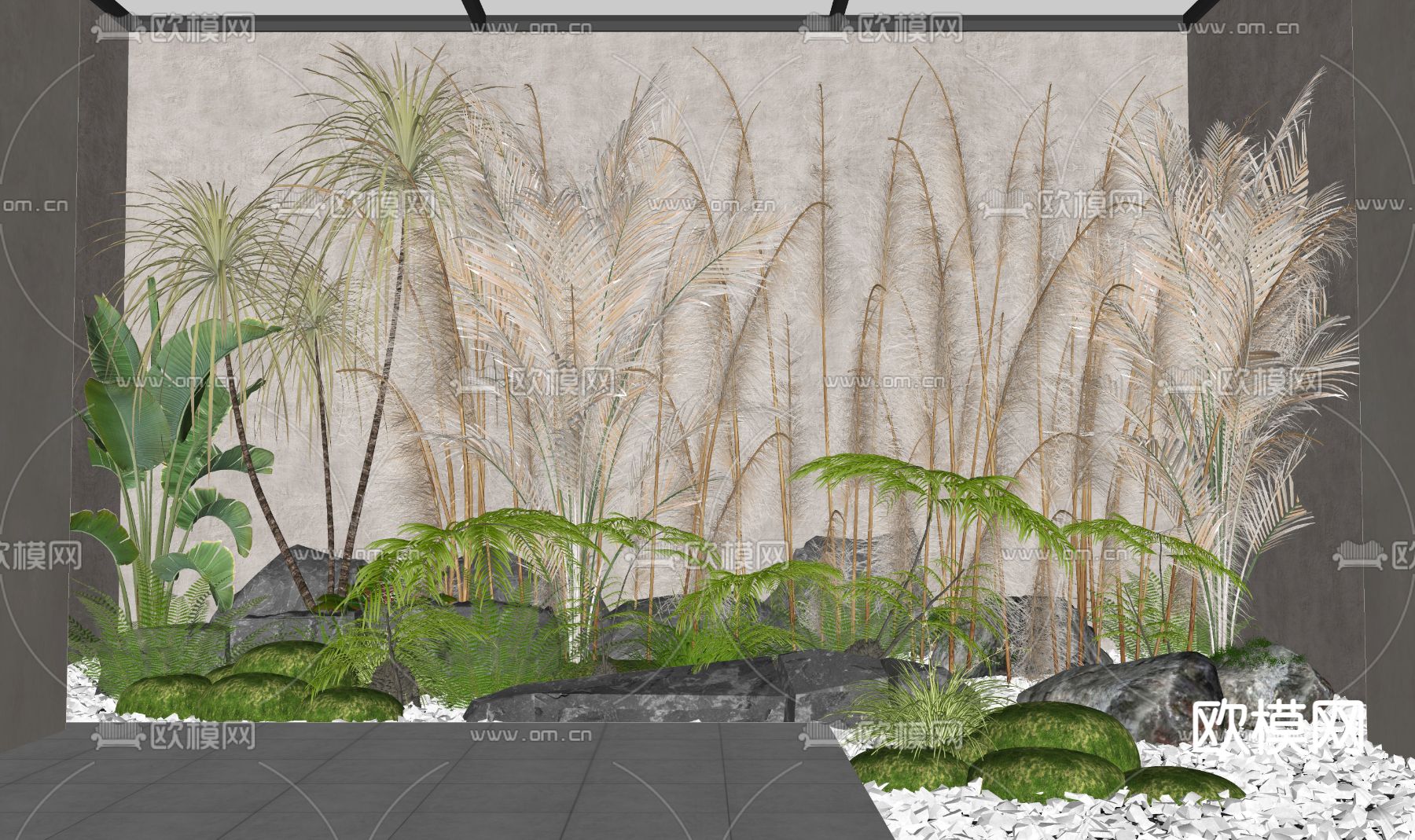 现代芦苇植物su模型下载（渲染图2）