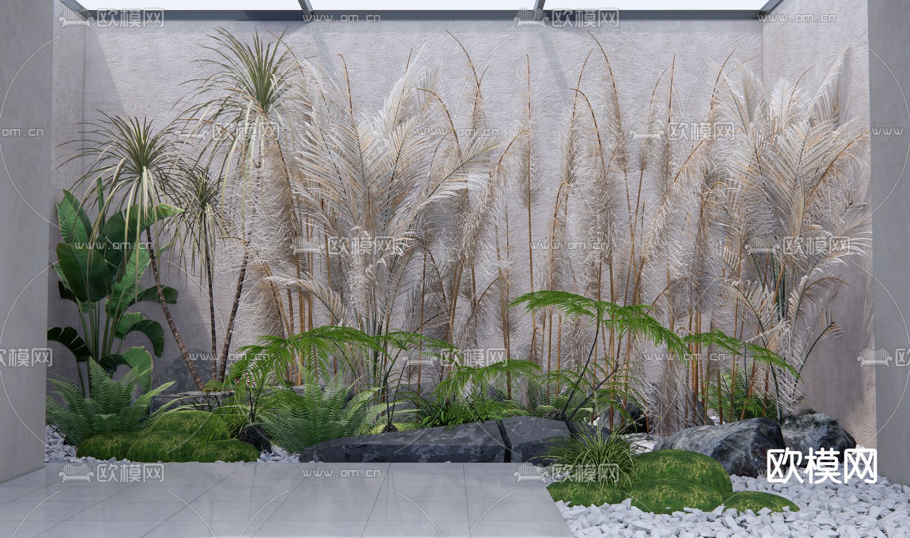 现代芦苇植物su模型下载（渲染图1）