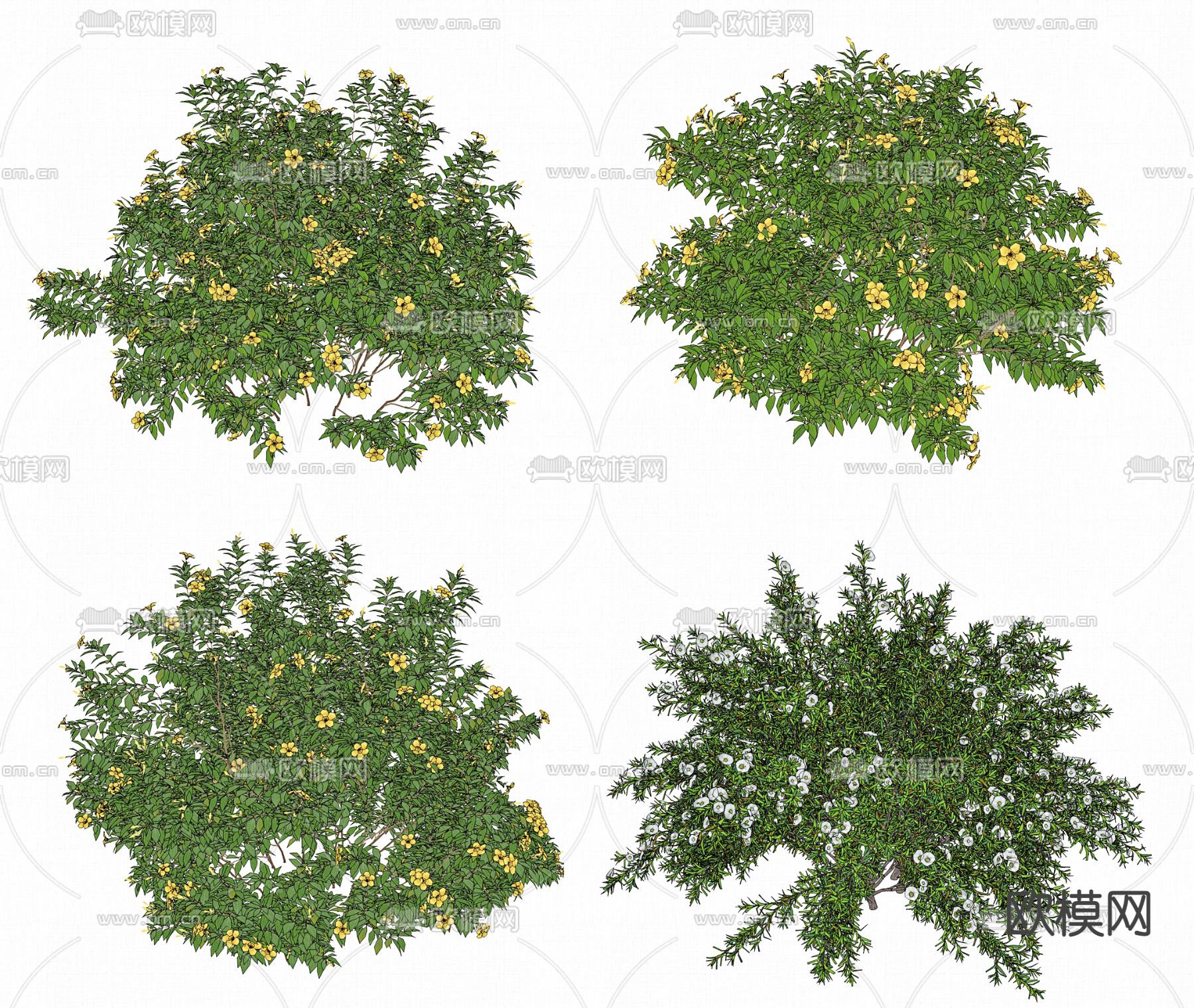 现代绿植灌木su模型下载（渲染图2）